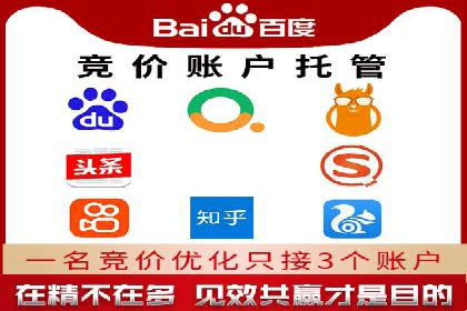 成功案例：专业SEM托管助力电商销售额翻倍